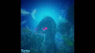 Game Android Top Fish: Ocean Game 8 Januari 2024