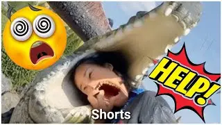 The Craziest Family Stunt Ever Attempted
