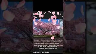 Прикольная фишка Гугла! Сакура! 
