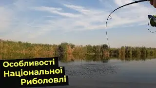 🟢Діло Йде До ОСЕНІ 🍂 ЩУКИ Стають Зліші 😠 Але у Вас Повинен Бути Варіант "В"