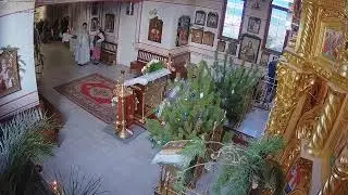 Память преп. Серафима Саровского: Литургия и молебен (видеокамера №2)
