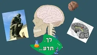 לך, תדע - המוח והתודעה