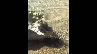 acquedotto cefalu
