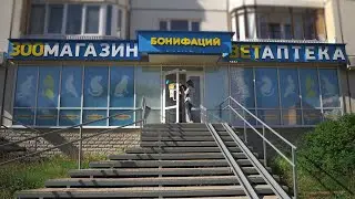 Магазин зоотоваров 