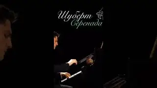 Schubert Serenade / Шуберт Серенада #piano #nikolaikuznetsov #music
