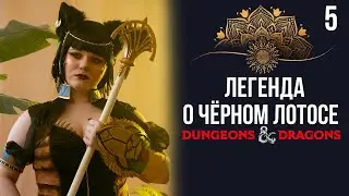 По следам жрецов | DnD | Кампания: Легенда о чёрном лотосе | 5 серия | Dungeons & Dragons