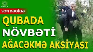 QUBADA  GENİŞ MİQYASLI AĞACƏKMƏ AKSİYASI KEÇİRİLİB