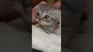 БОЖЕ КАКОЙ ХОРОШЕНЬКИЙ.