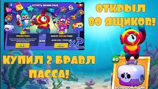 13 СЕЗОН БРАВЛ ПАССА! КУПИЛ 2 НОВЕНЬКИХ БРАВЛ ПАССА И ОТКРЫЛ 80 БИГ БОКСОВ!!!