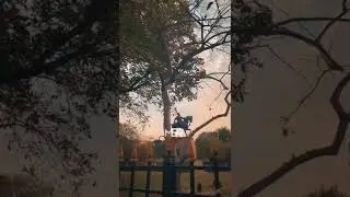 Hamnava Mere || Status Aesthetic Lofi Status|| XML present alightmotion video editing,#viral #shorts