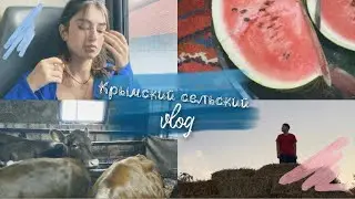 vlog||сельские будни,знакомимся с телятами,собираем миндаль, делаем сармушки и готовимся к свадьбе:)