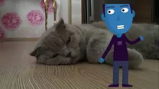 Another video by Taha