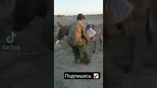 Осел На Ручнике 🤣🤣😁