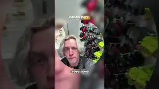 Правильное использование Кроксов😂 #парадеевич #crocs #хазяева