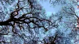 Unto Ashes - Sonnet 87 (when as man's life)