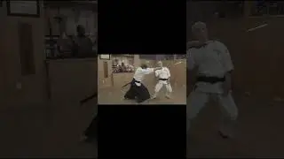 Karate Vs the Samurai Sword 