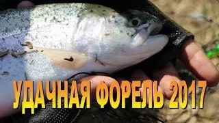 Ловля форели. Trout fishing