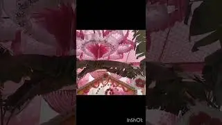 #sarawatipuja #maa #sbko budhdhi de #jai maa saraswati