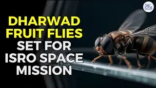 From Dharwad to Space: How Fruit Flies Are Paving the Way for India's Gaganyaan Mission!