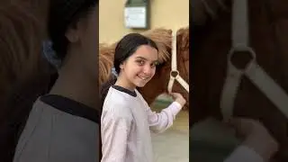 No comments I am with the brown horse in the video.😆😆😆😆😆😆 