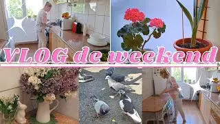 VLOG relaxant de weekend: treburi casnice, ce am mai gătit ?! Cumparaturi Kaufland, mergem la circ