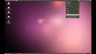 Setting up wireless with Ubuntu