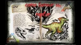 Ark Como tamear a un raptor