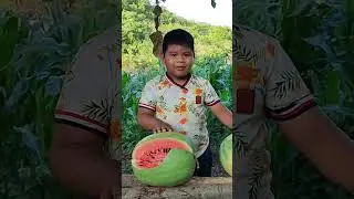 mateaventuras 🍉🚶