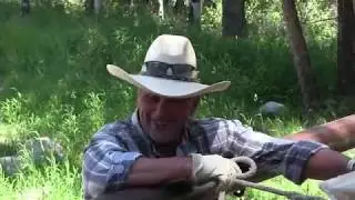 Bob Marshall 2018
