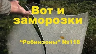 А вот и заморозки. "Робинзоны" №118
