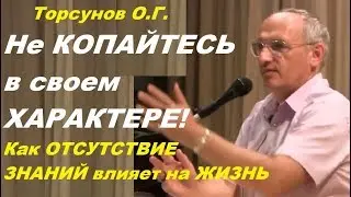 Торсунов О.Г. Не копайтесь в своем характере. Как отсутствие знаний влияет на жизнь.