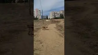 Палочка сама выбирает мага 🪄