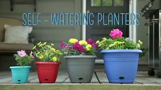 Self-Watering Planters