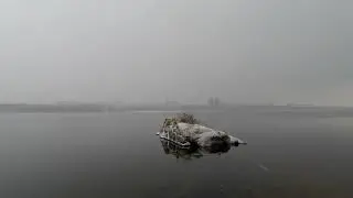 Красивый туман на Хортице и закат на заснеженном пляже с маламутом по кличке Зевс