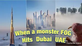 Monster Fog Hits Dubai l 10 Tips for Driving Safely in Fog