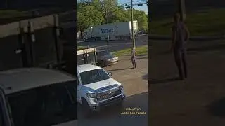 Tree Falls on 18 Wheeler Truck 