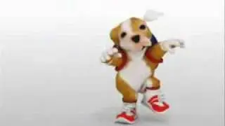 perro chacaron