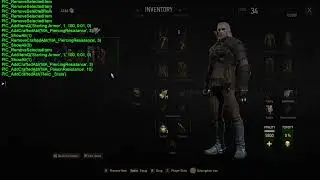 The Witcher 3. Mod "Potato Item Cheats". Custom armor demo.