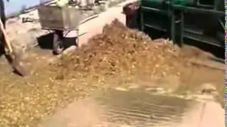Молотилка для кедрового ореха