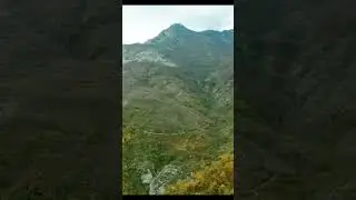 Breshkasi i Dukagjinit