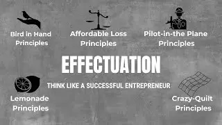 Mastering Effectuation: The Science of Entrepreneurial Decision-Making