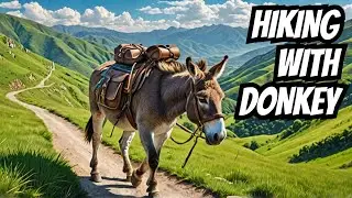 Mysteries of Traveling with a Donkey