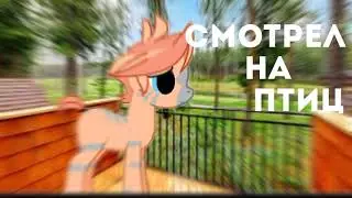 Pony clip ~ [•Маленький принц•]