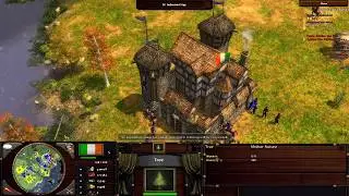 Age of Empires III: Wars of Liberty - Irish Rebellion