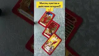 Мысли, чувства и действия сегодня?!😍🥰😘 #тарологмария #tarot #судьба #gadanie #отношения #оракул