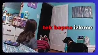 Korku Arşivi | Bölüm 11: Bu Kamera Kayıtları Gerçek Mi?