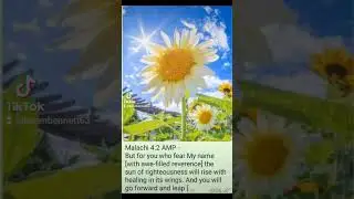 song from tiktok and photo from Facebook
