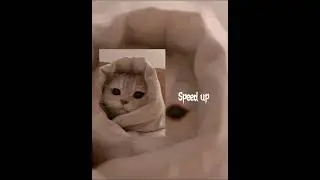 Лолита-на титанике🎶🎵