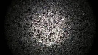00010