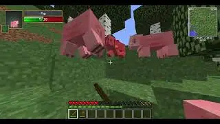 Minecraft adventure with mods #1